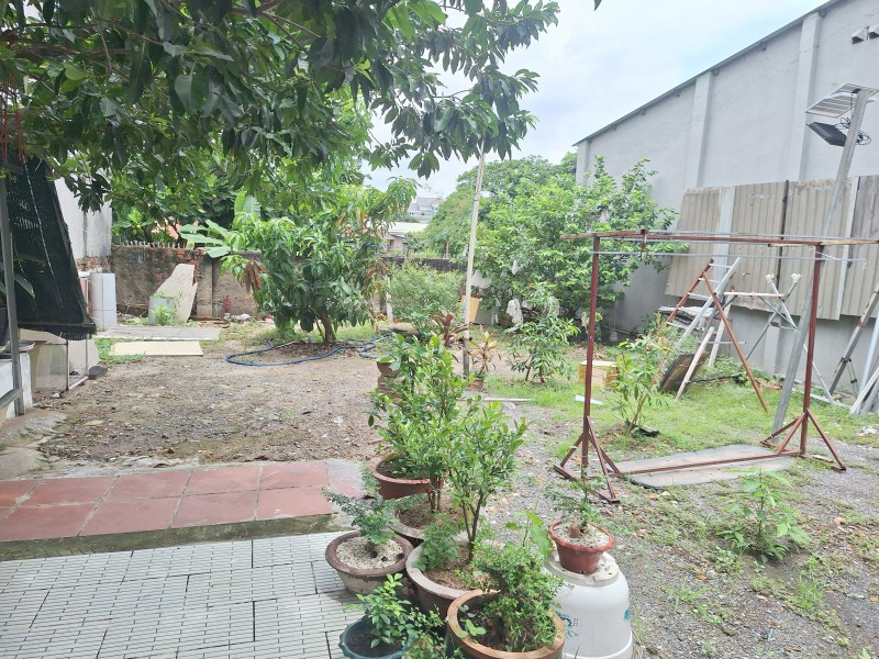 Mặt tiền Tam Châu – 251m² ngang 6.5m – gần BV Thủ Đức – giá cực rẻ ~50tr/m² – cơ hội hiếm tại TP. - Ảnh 2